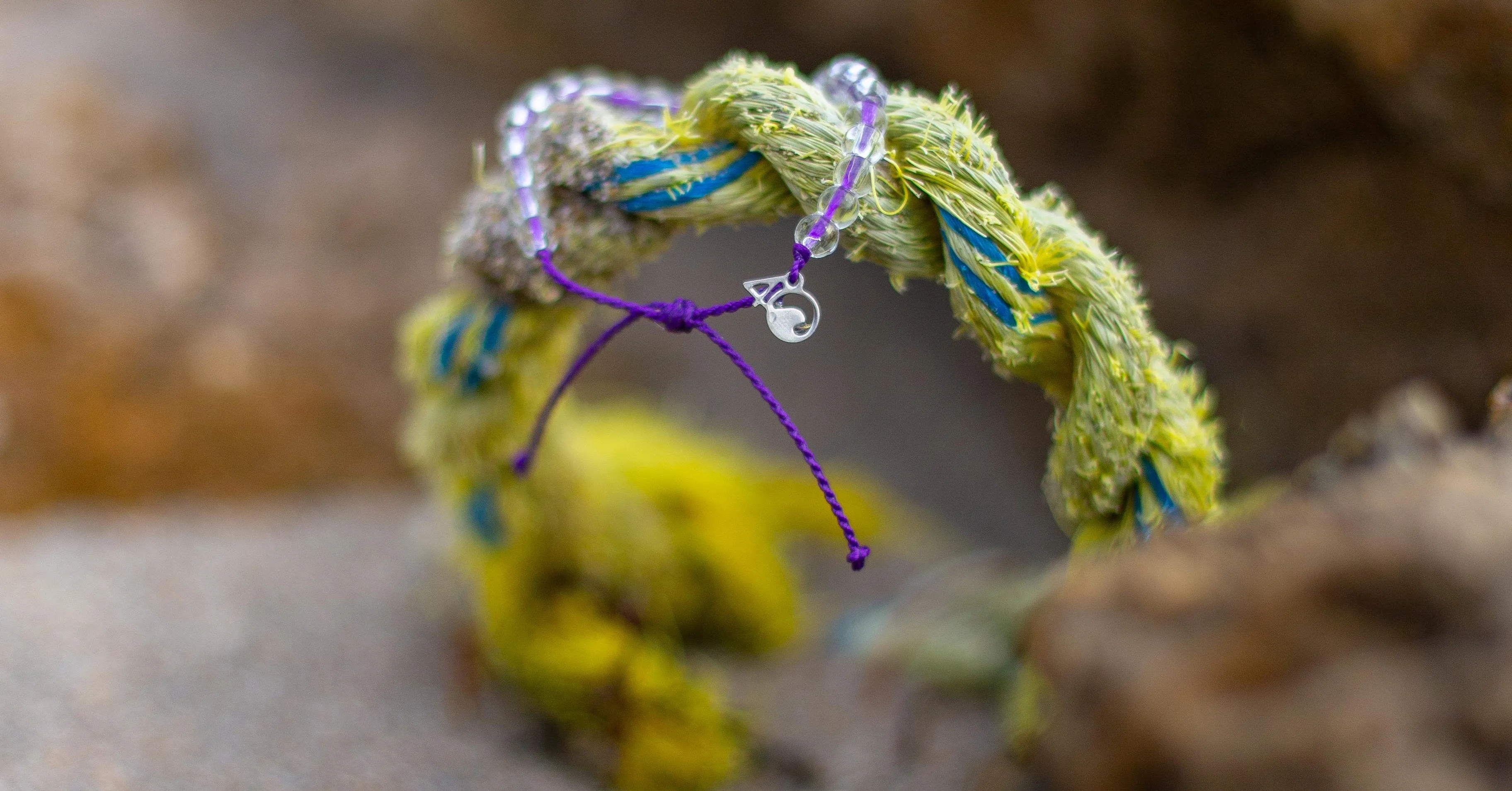 4Ocean Hawaiian Monk Seal Bracelet