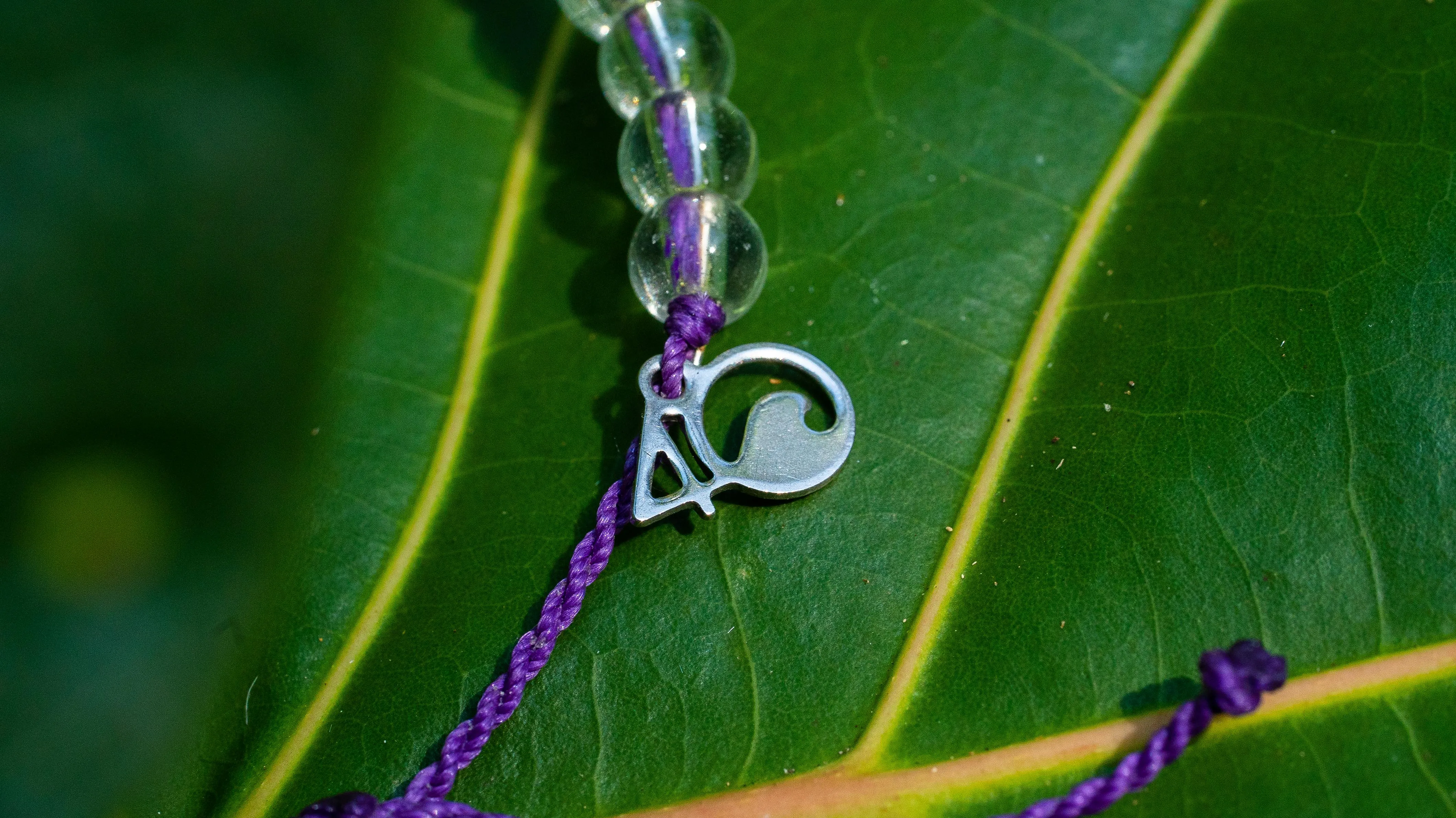 4Ocean Hawaiian Monk Seal Bracelet