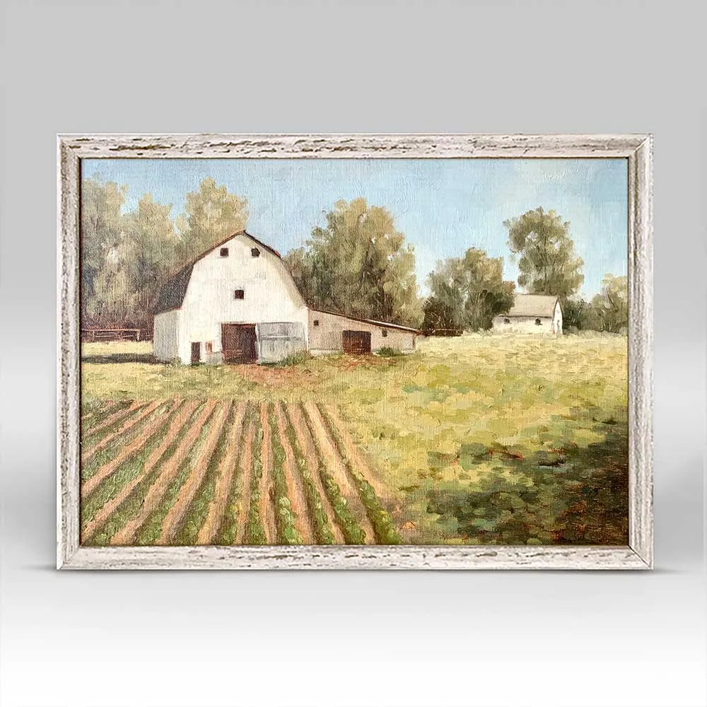 Afternoon Barn Mini Framed Canvas