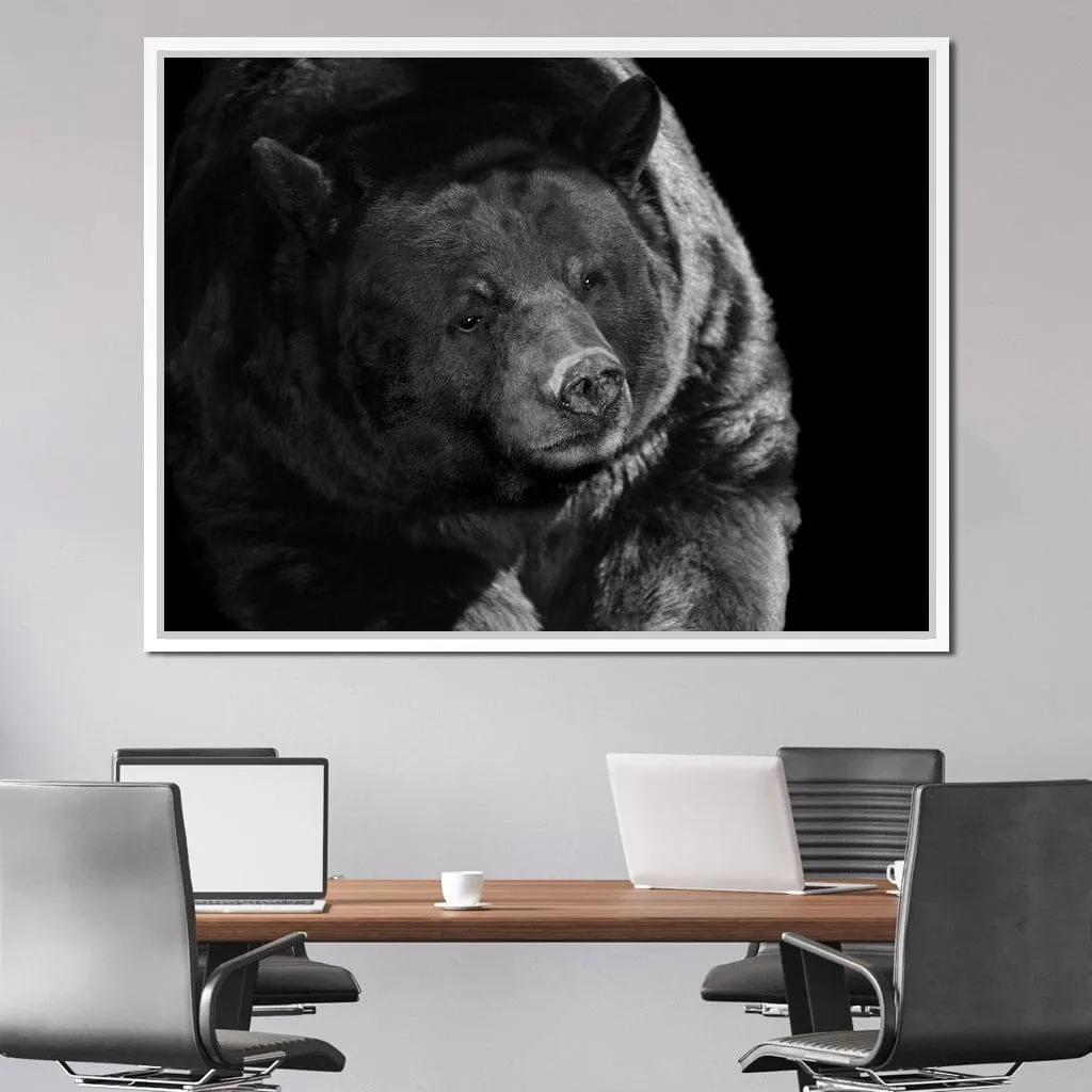 Black and White Bear