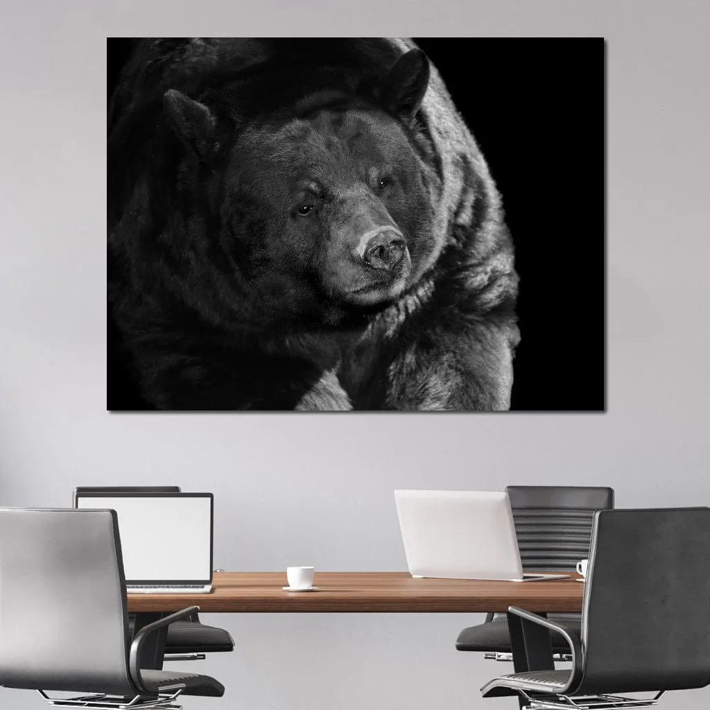 Black and White Bear