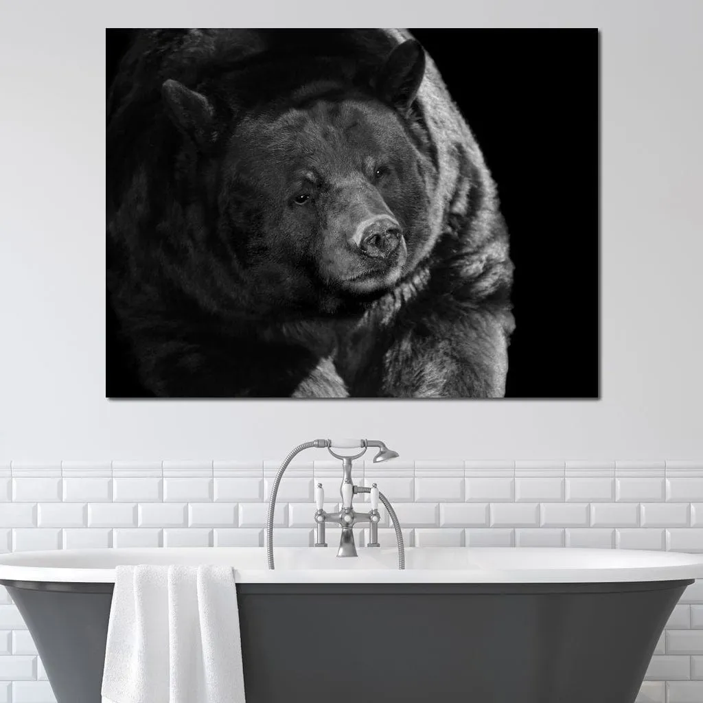 Black and White Bear