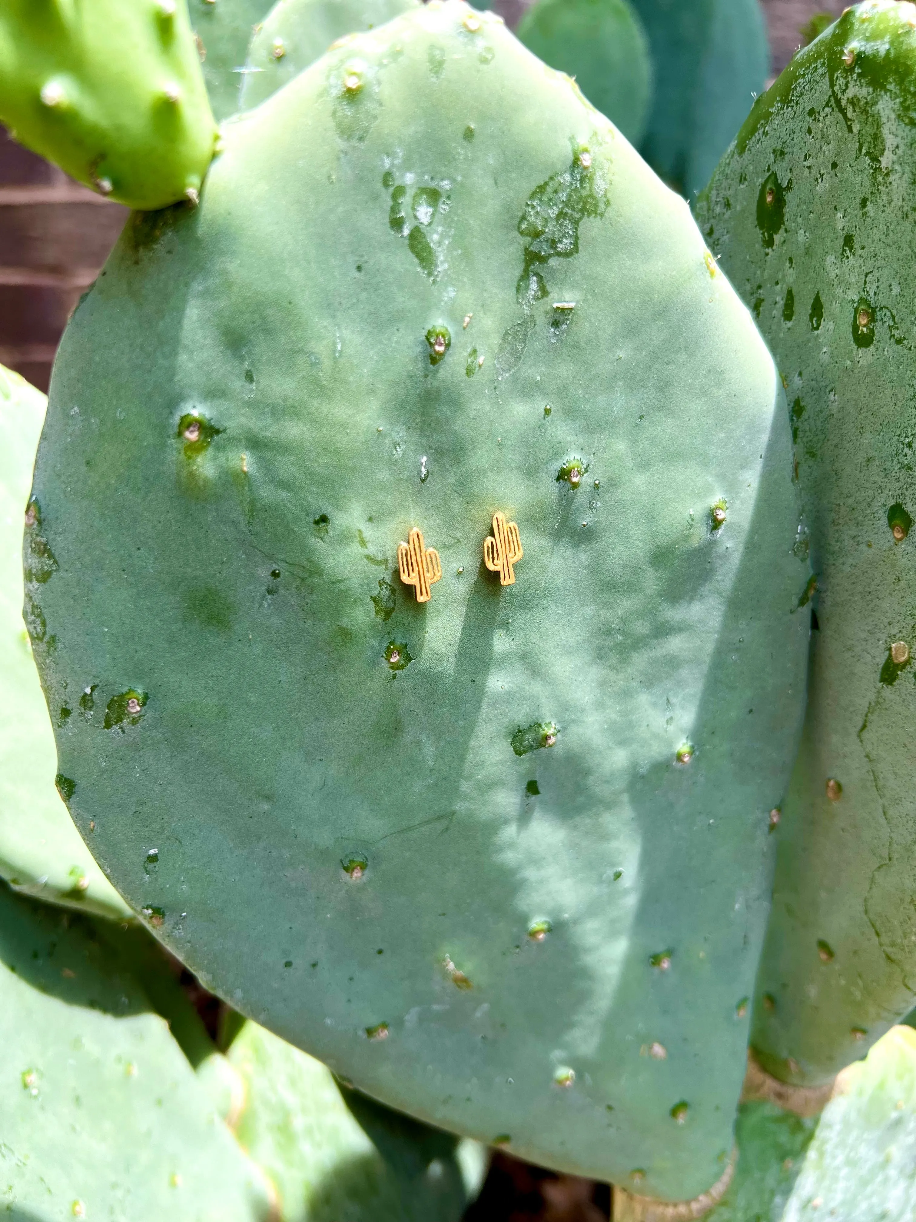 Dainty Desert Cactus Earrings