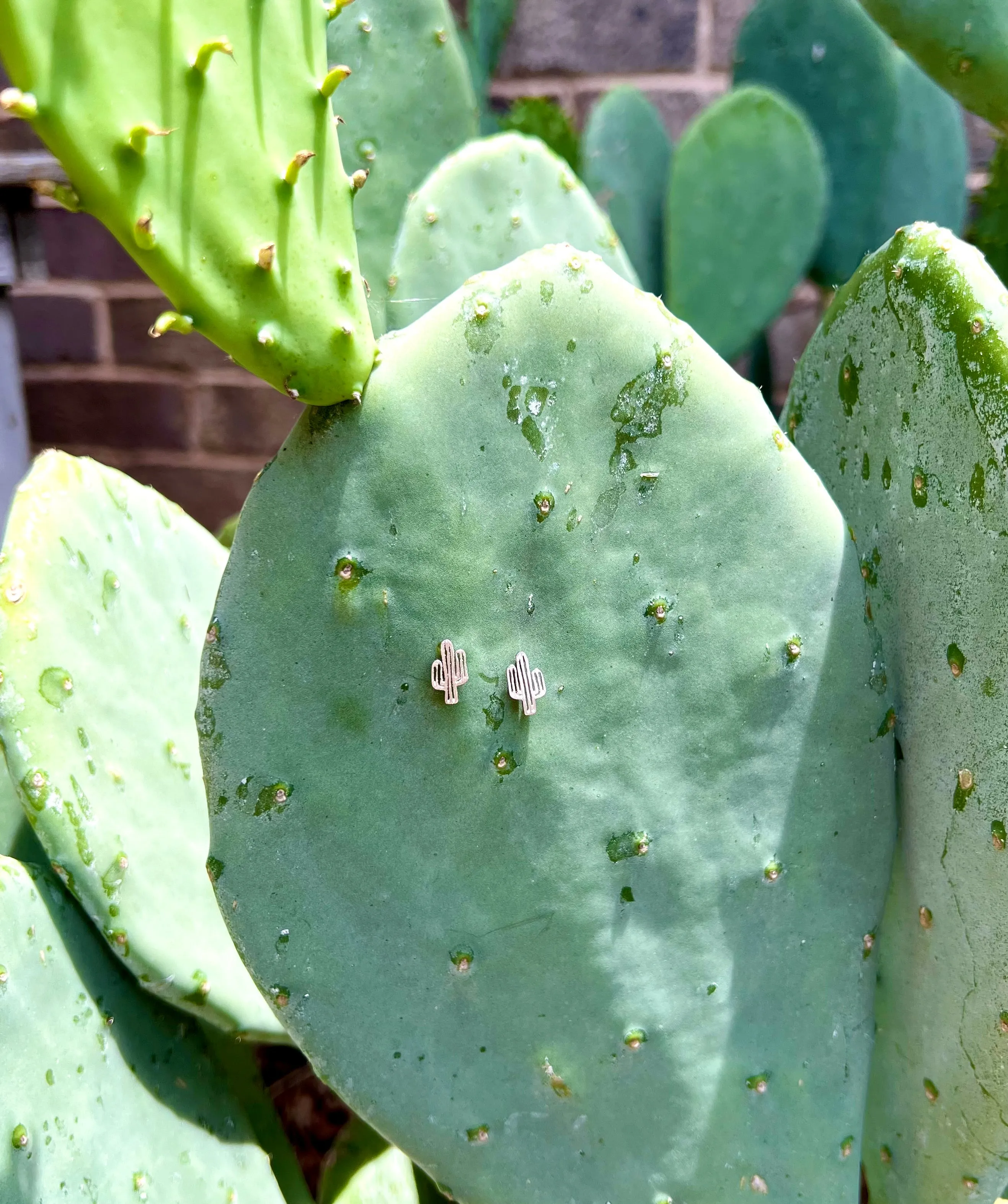 Dainty Desert Cactus Earrings