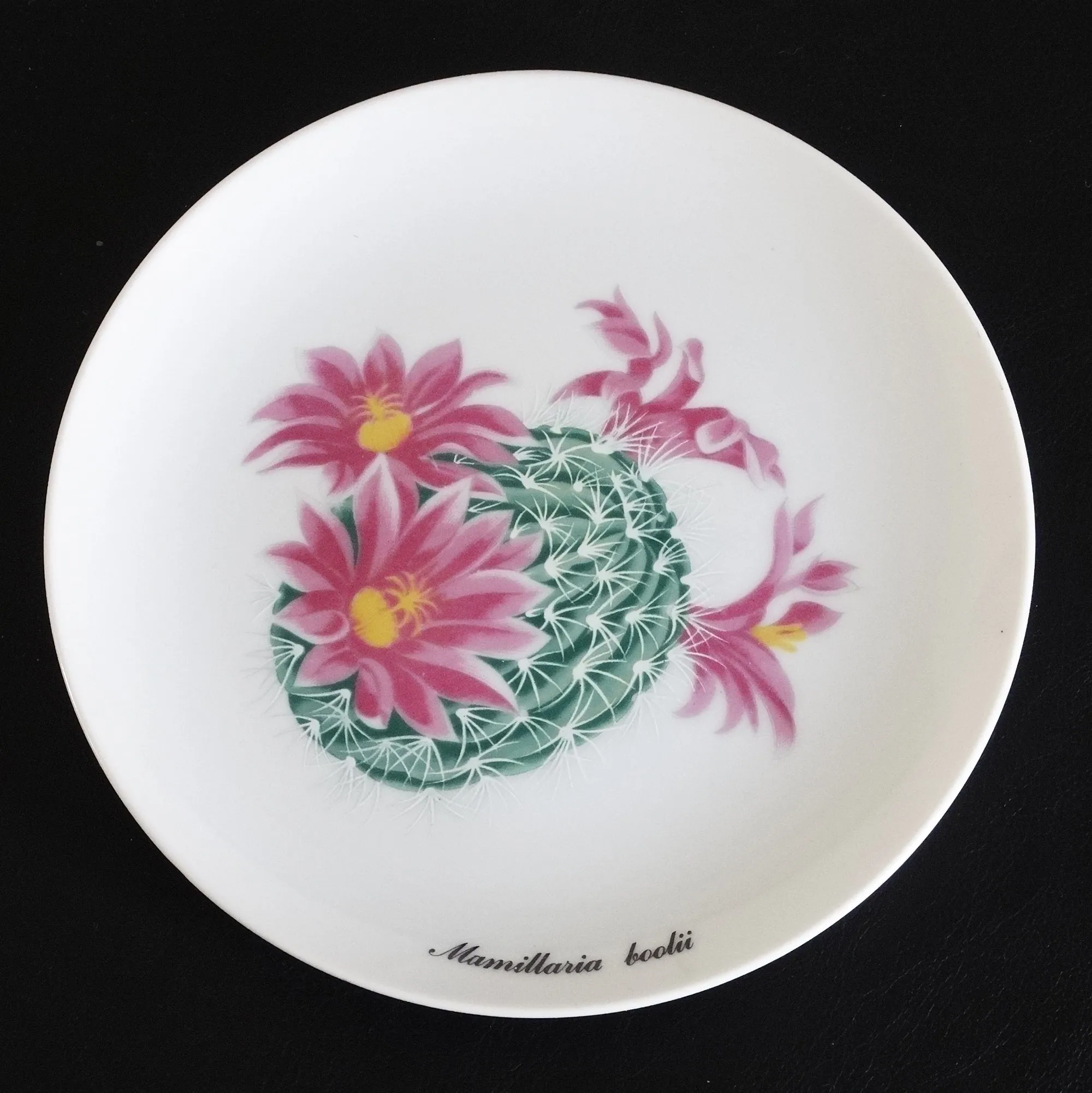 Desert Flower Cactus Plates by Shafford. Set of 3. Garden Club Series