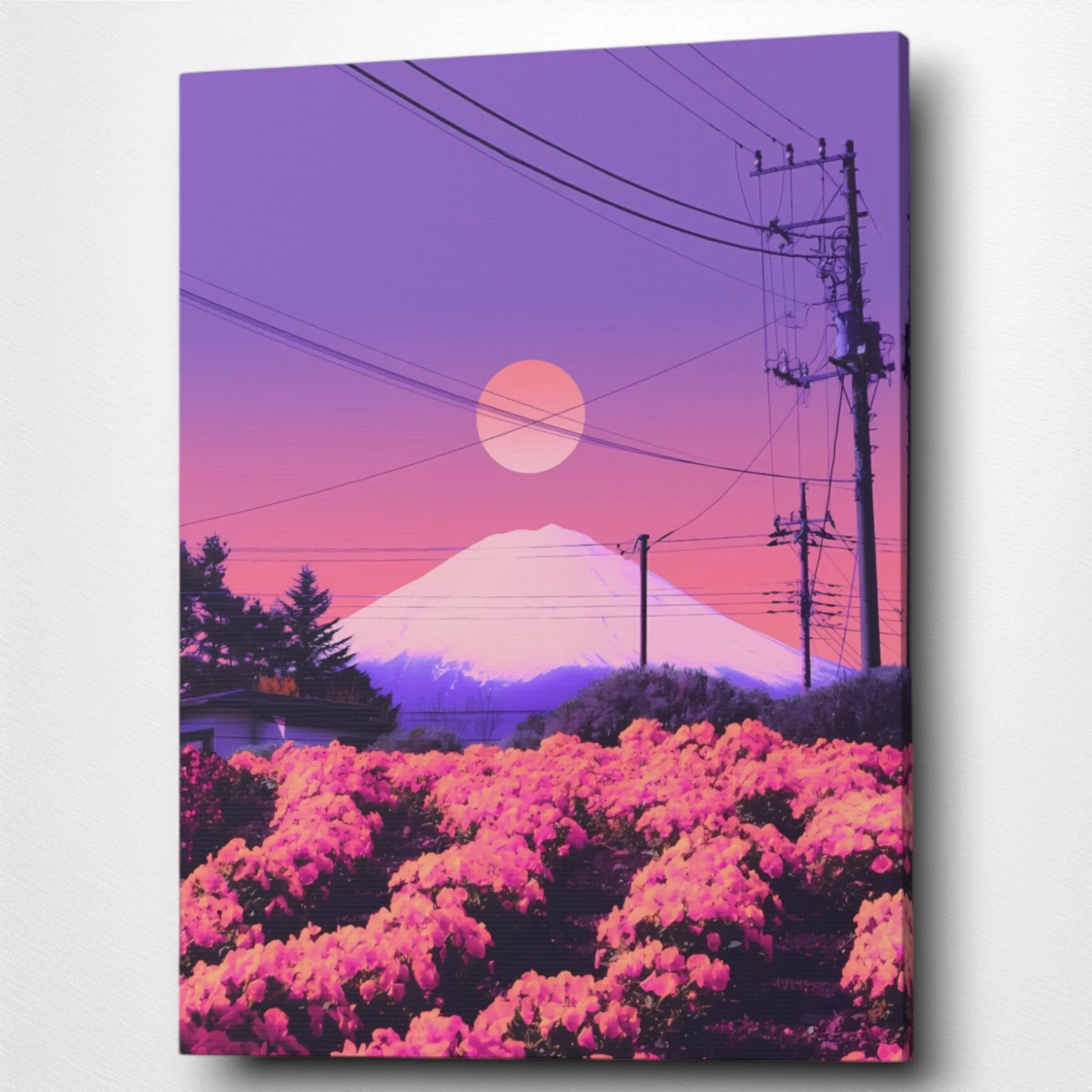 The Pink Field (Meadows) Canvas