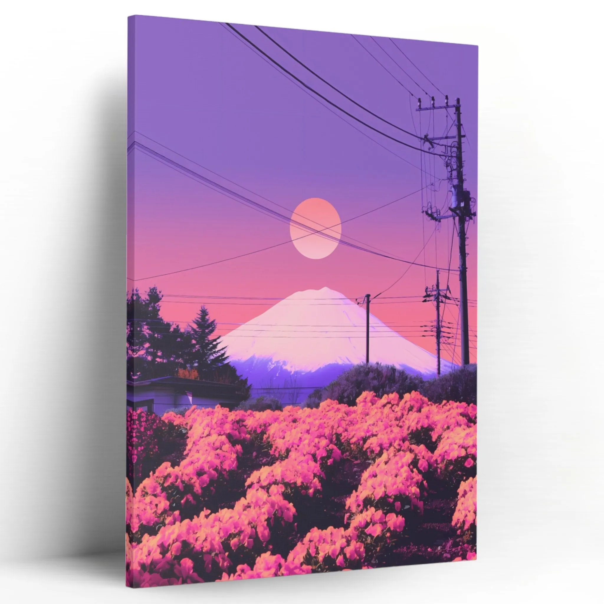 The Pink Field (Meadows) Canvas